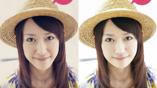Illustration for article titled Japanese Company Turns Human Ladies into Plastic Models